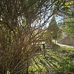 Podere Ponticini Appartement *