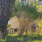 Podere Ponticini * Sienne