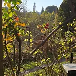 Appartement Podere Ponticini Sienne